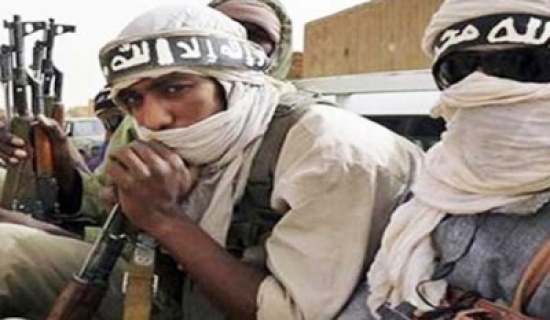 فرنسا تدعو لحرب عالمية على إسلاميي مالي