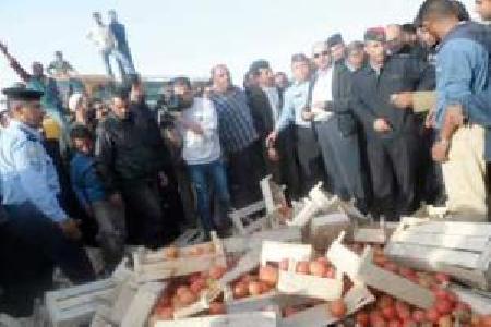 عمال زراعة الاغوار الجنوبية يعتصمون لصرف مكافآتهم ورفع علاوتهم