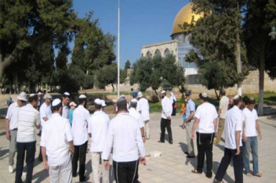 أحفاد القردة يقتحمون الأقصى ويهنئون الأردنيين بالعيد أحفاد القردة يقتحمون الأقصى ويهنئون الأردنيين بالعيد