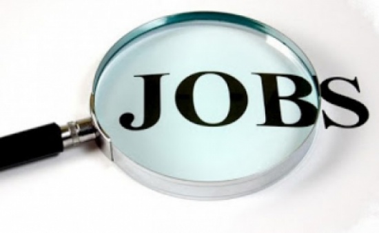 يوم وظيفي في لواء الأغوار الشمالية