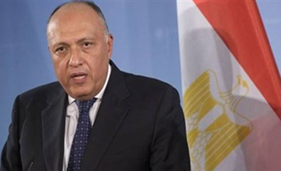 مصر تؤكد دعمها لتنفيذ اتفاق إحلال السلام في إفريقيا الوسطى مصر تؤكد دعمها لتنفيذ اتفاق إحلال السلام في إفريقيا الوسطى