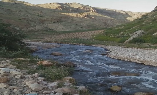 مزارعون يشكون انسياب مياه عادمة في وادي الكريمة من محطة كفرنجة