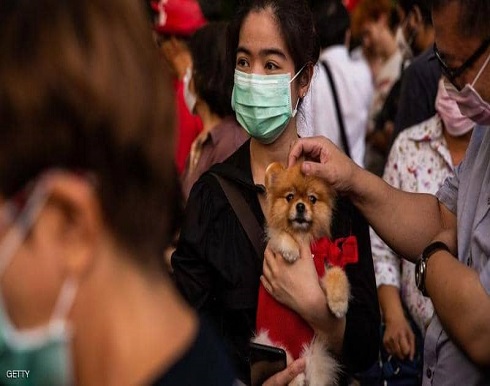 من الإنسان إلى الحيوان.. أول انتقال "عكسي" لفيروس كورونا