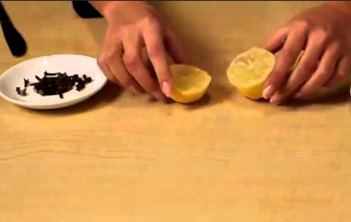 أفكار جيدة لطرد الذباب وإبعاده عن الطعام