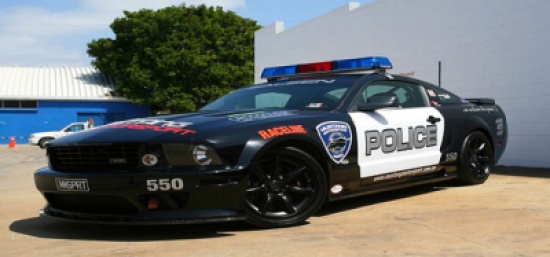 مجسمات سيارات الشرطة لإخافة اللصوص