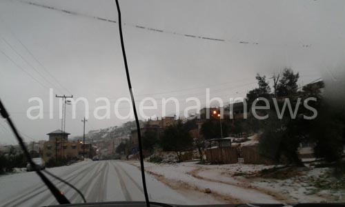 بالصور : " جنى " في عجلون بالصور : " جنى " في عجلون