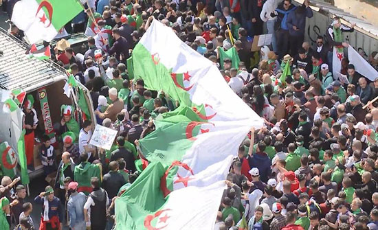 الجزائر.. الانتخابات الرئاسية في 4 يوليو الجزائر.. الانتخابات الرئاسية في 4 يوليو