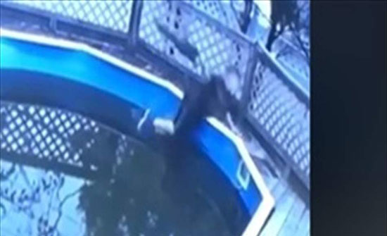 حاول تنفيذ مقلب مرعب بشقيقه.. هذا ما حلّ به (فيديو) حاول تنفيذ مقلب مرعب بشقيقه.. هذا ما حلّ به (فيديو)