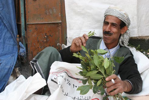 اليمنيون ينفقون 1.7 مليار دولار على " القات " اليمنيون ينفقون 1.7 مليار دولار على " القات "