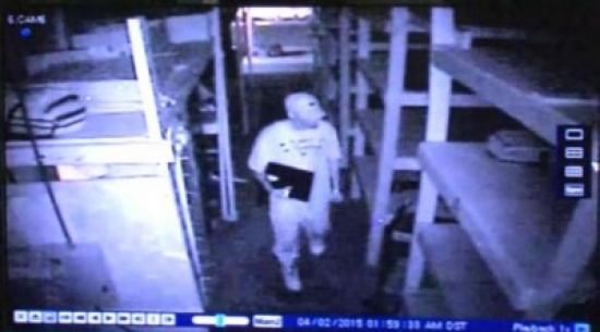 لص ينام تحت شجرة هرباً من الشرطة