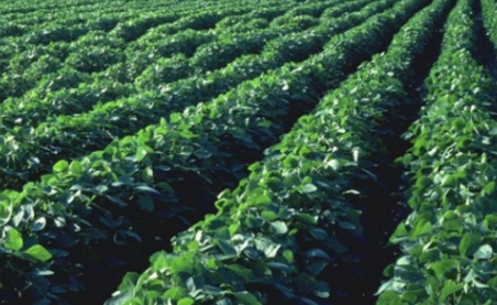 "زراعة الزرقاء" تنفذ مشروع حصاد مائي