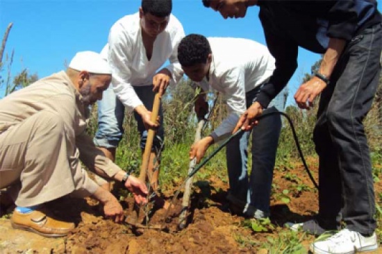 الأمانة وجمعية البيئة الاردنية تطلقان مشروع تشجير متنزه مركز البيئة الوطني