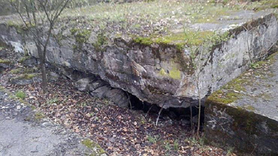 ما هو كنز "غرفة العنبر" المفقود والغامض؟