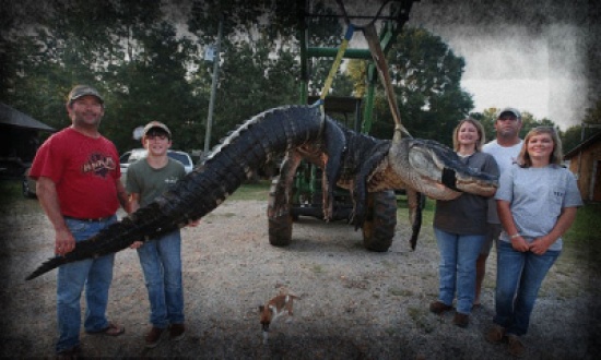 بالصور.. أسرة أميركية تتمكن من اصطياد تمساح عملاق