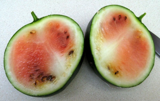 دعوات للتأكد من نضوج البطيخ قبل شرائه