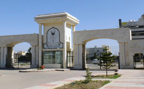 كفافي: نحن بحاجة لخلق مناخ مناسب لاستغلال طاقات الشباب