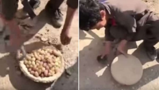 شاهد: طريقة بسيطة للاحتفاظ بالعنب طازجاً لشهور طويلة