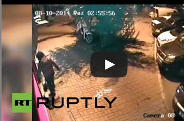 امرأة تركل قطة وصغيريها بقسوة