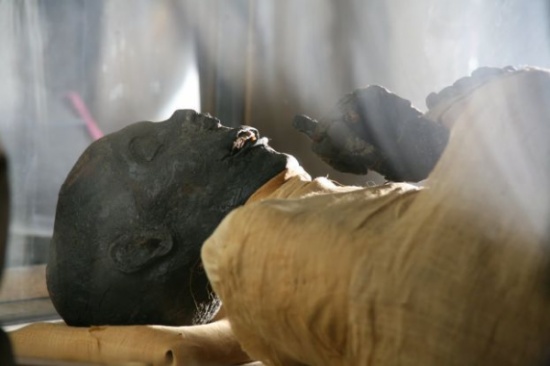 اعتقال سيدة حنّطت جثة والدتها لعامين