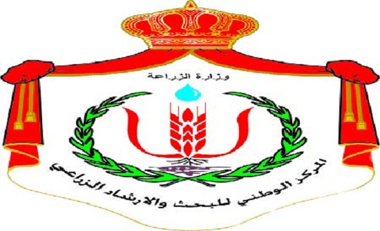 حداد يبحث تطوير القطاع الزراعي في المناطق الصحراوية حداد يبحث تطوير القطاع الزراعي في المناطق الصحراوية