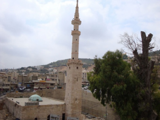 انطلاق فعاليات المجالس العلمية في عجلون انطلاق فعاليات المجالس العلمية في عجلون