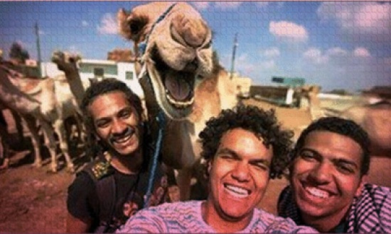 جمل يشارك في التقاط صورة Selfie جمل يشارك في التقاط صورة Selfie