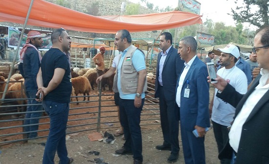 الشواربة يتفقد أماكن بيع وذبح الأضاحي التي حددتها الأمانة الشواربة يتفقد أماكن بيع وذبح الأضاحي التي حددتها الأمانة