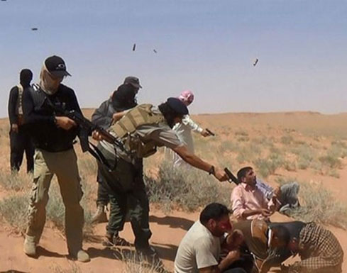 علماء المسلمين: انتهاكات الميليشيات الشيعية في الفلوجة مآساة بدعم إيراني أمريكي علماء المسلمين: انتهاكات الميليشيات الشيعية في الفلوجة مآساة بدعم إيراني أمريكي