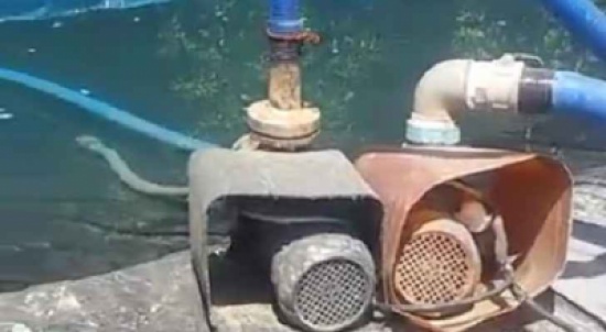حملة مكثفة..وضبط صهاريج تبيع مياه غير صالحة للشرب في وادي السير(فيديو) حملة مكثفة..وضبط صهاريج تبيع مياه غير صالحة للشرب في وادي السير(فيديو)
