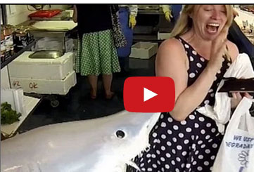 سمكة قرش "تهاجم" زوار متجر لبيع الأسماك