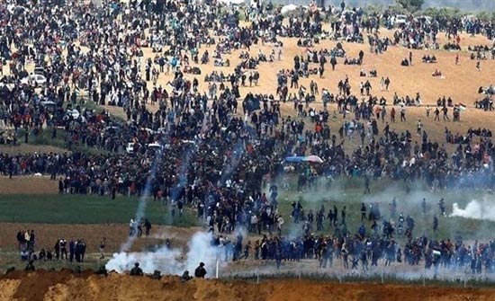 الاتحاد الأوروبي يدعو إلى التحقيق في مقتل فلسطينيين في غزة