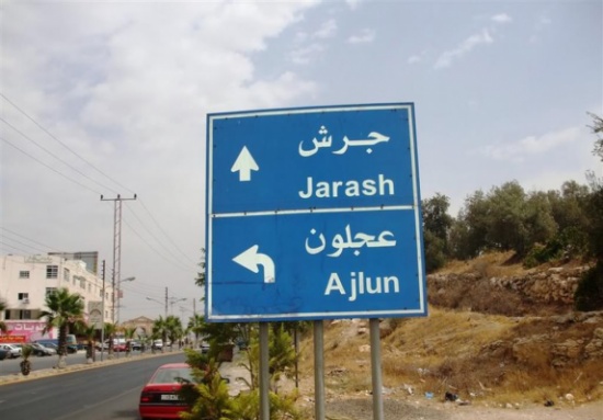 اختتام معسكرات سواعد الانقاذ في مديرية شباب جرش اختتام معسكرات سواعد الانقاذ في مديرية شباب جرش