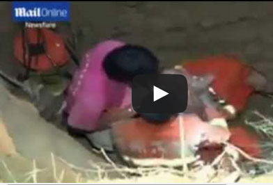 وكأن الأرض تلد الأطفال في الصين