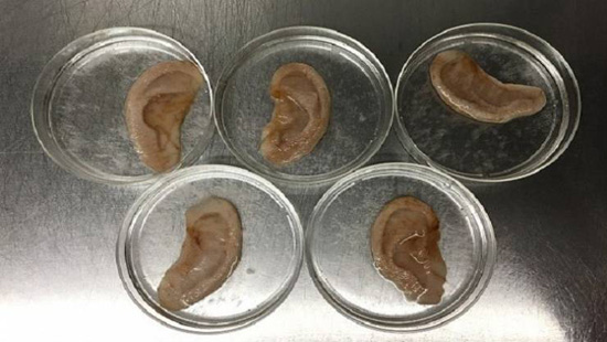 صور|هل توقعت يوما أن يكون محل البقالة مكانا يمكنك شراء لوازم لتجديد أعضاء من جسمك؟