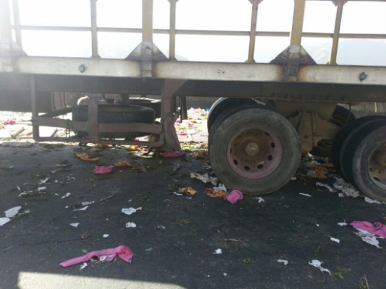 القرود تكشف حمولة قات اليمني في طريقها للسعودية ( صور )