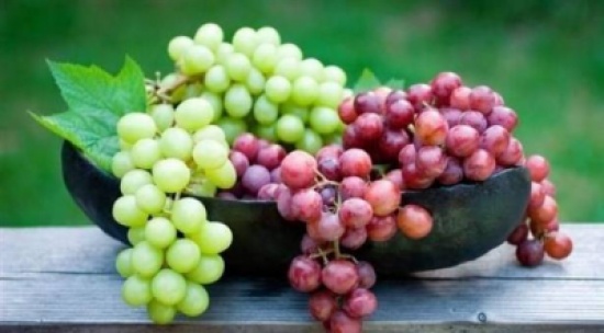 وزير الزراعة يوجه لإعادة النظر في تعليمات الاستيراد والتصدير والترخيص