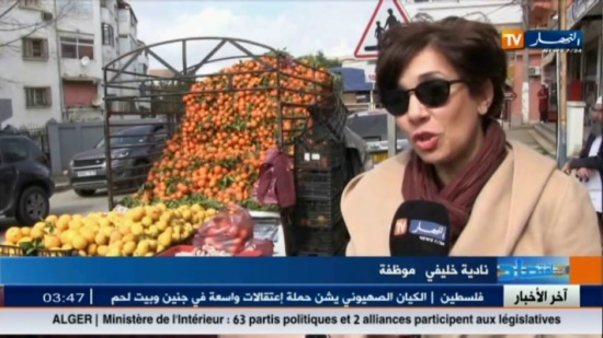 فيديو| عجائب الجزائر: سعر كيلو “الثوم” أغلى من سعر كيلو “اللحمة” فيديو| عجائب الجزائر: سعر كيلو “الثوم” أغلى من سعر كيلو “اللحمة”