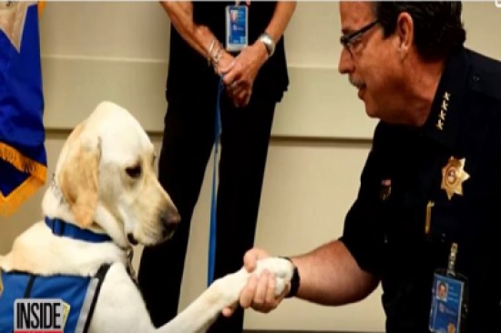 شاهد..  كلب أمريكي يؤدي اليمين الدستورية للشرطة!
