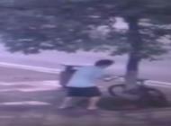 فيديو :قطع شجرة لسرقة دراجة