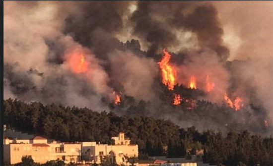 دفاع مدني عجلون يتعامل مع 5 حرائق بمساحة 50 دونما