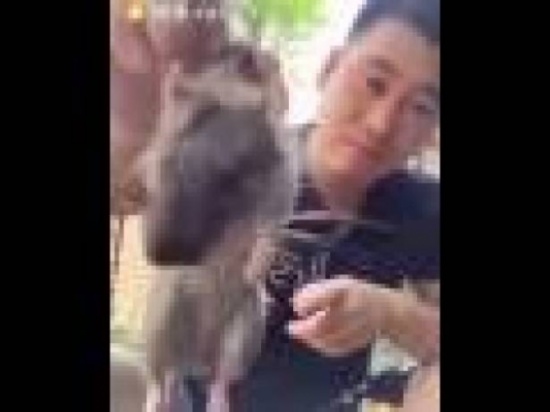 بالفيديو: هكذا ابتلع فأرة في لقمة واحدة!