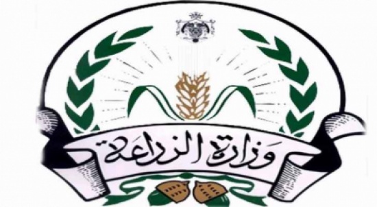 الزراعة توعز بتوفير مبيدات مكافحة ذبابة الرمان الزراعة توعز بتوفير مبيدات مكافحة ذبابة الرمان