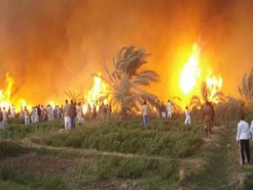 حريق يأتي على 200 دونما مزروعة بالموز في الشونة الجنوبية حريق يأتي على 200 دونما مزروعة بالموز في الشونة الجنوبية