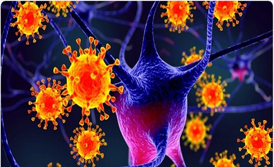 المفرق: سحب 300 عينة لمرتبات وعاملين في مركز حدود الكرامة