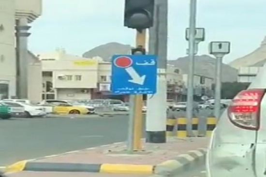 شاهد: جمل يهرب من صاحبه وسط طريق عام