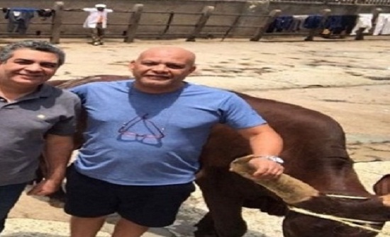 لكسر ” النحس ” المنتخب المصري يذبح عجلاً لكسر ” النحس ” المنتخب المصري يذبح عجلاً