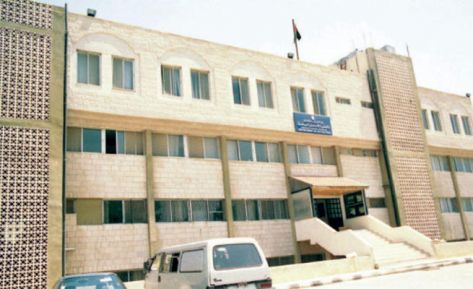 دائرة الآثار العامة تسلم 340 قطعة أثرية إلى الجانب المصري