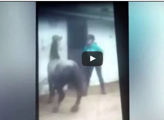 فتاة تعذب حصانا أسقطها على الأرض