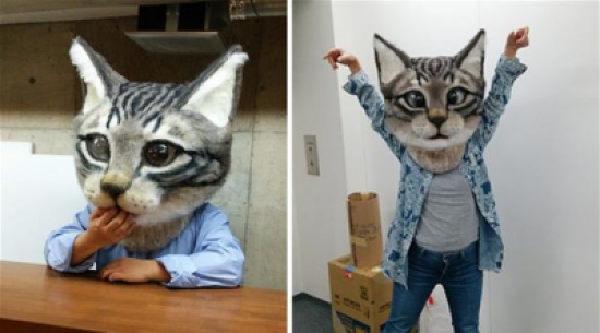 ما قصة رأس القطة الضخم هذا؟