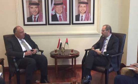 مشاكل المنطقة على طاولة مباحثات شكري والصفدي مشاكل المنطقة على طاولة مباحثات شكري والصفدي